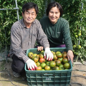 맛딜 부산대저 권영욱 생산자님 대저토마토 2.5kg, 2.5kg(S-2S), 1개