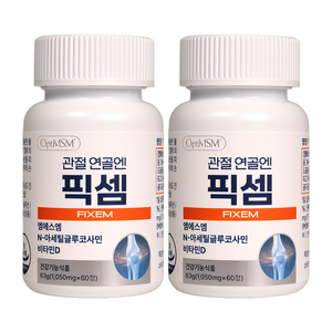 [픽셈공식판매처] 관절 연골엔 픽셈 FIXEM 엠에스엠 NAG 비타민D, 60정, 2개