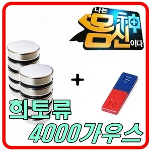 몸신건강자석 4000가우스, 01-12x5T(16개)+막대자석1개