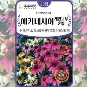 [주주씨앗] 에키네시아 혼합 씨앗 100립 레인보우혼합 종자 씨 다년생 꽃씨 몰 종자 씨 봄 가을 파종 노지월동, 1개