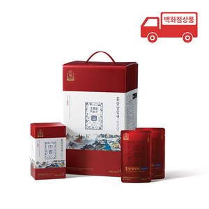현대백화점 정품 정관장 홍삼달임액 양삼20지, 90ml, 48개