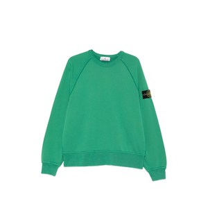 스톤 아일랜드 래글런 소매 스웨트셔츠, 그린계열, Standard M(KR 95)