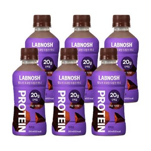 랩노쉬 프로틴 드링크 카카오 미니