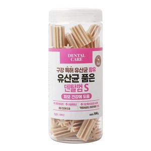 라피끄 강아지 유산균 품은 덴탈껌, 피모 건강, 300g, 1개