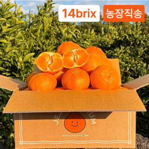 당도선별 제주 레드향 가정용 제주도직송, 1박스, 2.5kg (중과)