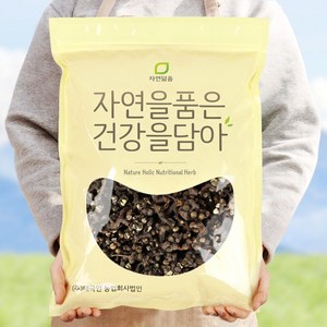 자연닮음 수입산 헛개열매 1kg 헛개나무 열매 지구자, 1개