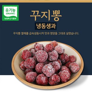 친환경농법으로 재배한 건강한 꾸지뽕, 1kg, 4개