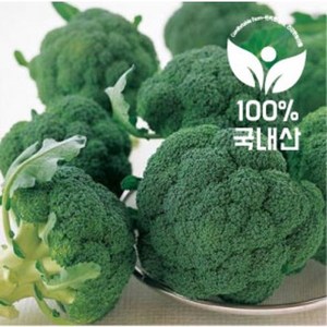 <컴팜>브로콜리/2kg/4kg/8kg, 2kg(4~8수), 1개