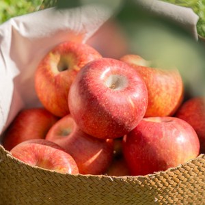 경북 햇 부사 사과 실중량 3kg, 1박스, 가정용 사과 중과(약한기스) 실중량 3kg