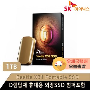 SK하이닉스 Beetle X31 DRAM 탑재 외장 SSD + 전용 케이스, SKHPU3-001T, 1024GB