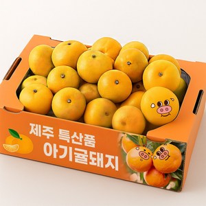 오늘출발 고당도 제주 특산품 귤, 1박스, 2.5kg(대과귤돼지)