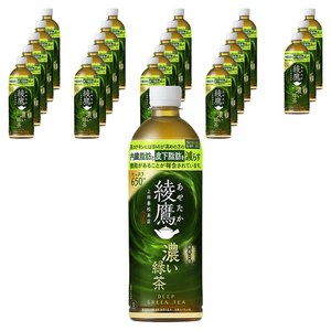 아야타카 진한 녹차