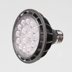 비츠온 PAR30 LED 15W 집중 스포트형 전구색 3000K, 1개