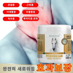 [효과강화] 독일수입 소염진통제 관절약추천 류마티스 관절통 손가락통증 근육통크림 허리통증 팔목통증, 1개, 500g