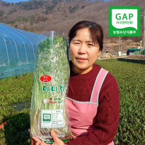 [GAP인증] 국내산 청도 지하암반수 손질 미나리, 1개, 1kg