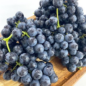 [하루3식] 씨없는 고당도 세이블 블랙 포도 2kg, 1개