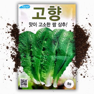 고향 청치마 상추씨앗(8g) 고소한 쌈 상추, 1개