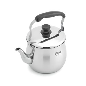 퀸센스 샤이니 인덕션 스텐 주전자, 3L, 혼합 색상, 1개