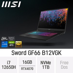 MSI GF시리즈 Sword GF66 B12VGK, Free DOS, 16GB, 1TB, 코어i7, B