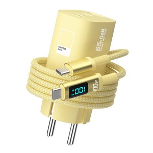 팬톤 접지형 GaN PPS 65W 3포트 디스플레이 초고속 멀티충전기 PD65WGN