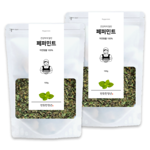 1+1 반듯한청년 페퍼민트 티 100g 2봉 리필팩 원물 차, 100g, 2개입, 1개