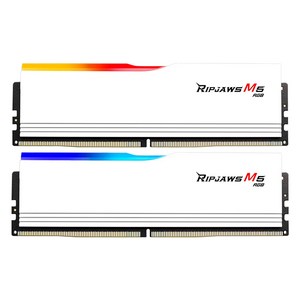 G.SKILL DDR5-5200 CL40 RIPJAWS M5 RGB 화이트 패키지 (32GB(16Gx2)), 2개