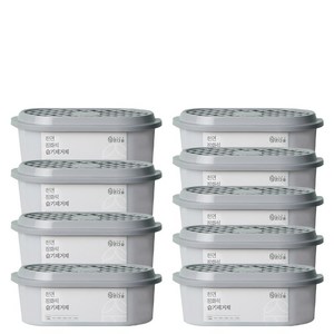 온다숲 반영구 천연 제습제 정화석, 300g, 9개