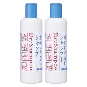 파인투데이 프레시 드라이 샴푸 보틀, 250ml, 2개