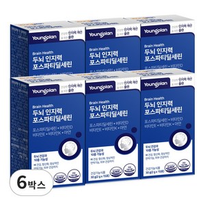 영진약품 두뇌 인지력 포스파티딜세린 분말 식약청인증, 30g, 6박스