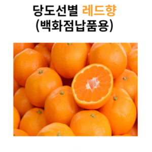 15bix 당도선별 제주 레드향 가정용, 1박스, 3kg(15과내외)