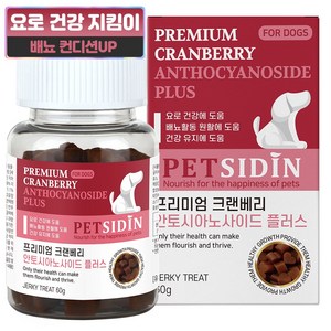 펫시딘 강아지 프리미엄 영양제, 60g, 요로 건강, 1개