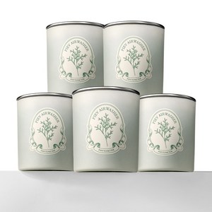 본사공식몰 피에브 에어워셔 고체 탈취제 냄새 제거 피톤치드 향, 250g, 5개