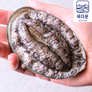 [초특가할인] 완도 활전복 1kg [산소팩 무료배송], 1개, (1호) 6-7미1kg