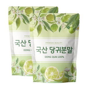 닥터릴리 당귀 분말 참당귀 가루 국산, 500g, 2개