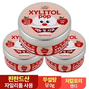 수제 장인 자일리톨 팝 캔디 사탕 아누카사과, 70g, 3개