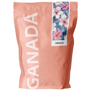 가나다 히비스커스 티백 히비스커스차 허브차, 25개입, 1g, 1개