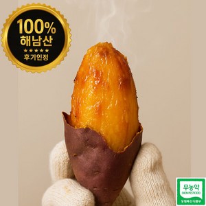 [하루농장] 해남 고구마 꿀고구마 세척고구마 산지직송 베니하루카 해남꿀고구마 특상사이즈, 1박스, 특상사이즈 3kg