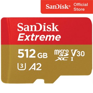 샌디스크 익스트림 메모리카드 마이크로칩 QXA1