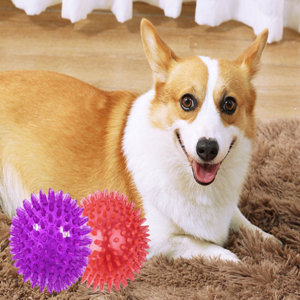 그로우핸즈 강아지 오래가는 삑삑이 장난감 공 2p, 1세트, 보라색+빨강색