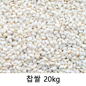 [2023년산] 찹쌀(벌크) 20kg, 1개