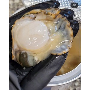 손질 순살가리비, 4개, 400g