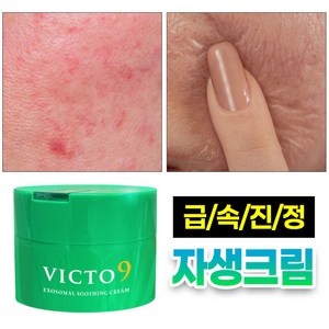 (트러블/열감) EGF 빅토나인 엑소좀 빙하수 병풀 진정 크림 쿨링 수분크림, 1개, 100ml