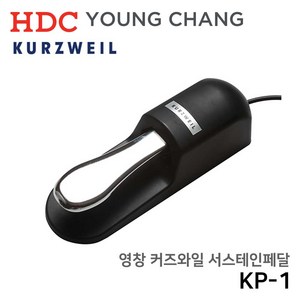 커즈와일 서스테인 건반악기 페달 KP-1, 혼합색상, 1개