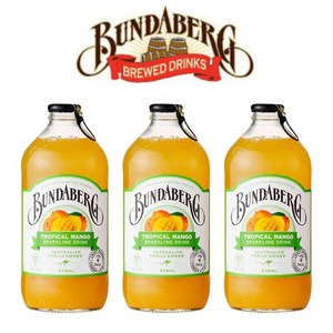 분다버그 트로피칼 망고 드링크, 375ml, 12개