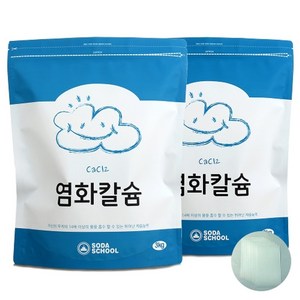 소다스쿨 염화칼슘 제습제 리필용 2p + 부직포 8p 세트, 3kg, 1개