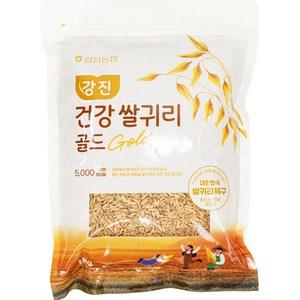 농협 [25년산 햇곡] 대한민국 쌀귀리 특구 강진산 귀리 골드, 1kg, 1개