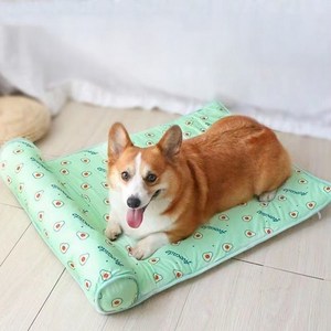 딩동펫 반려동물 썬베드 쿨방석, 아보카도, S(40 x 60 ..., 1개