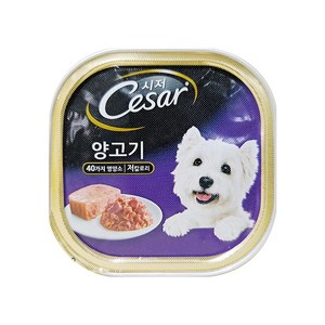 시저 애견간식 캔, 양고기 (1세 이상), 100g, 6개