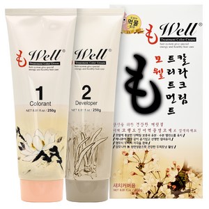 라샘 모웰 트리트먼트 칼라 크림 오징어먹물 염모제 250g, 1개, 5N 자연갈색