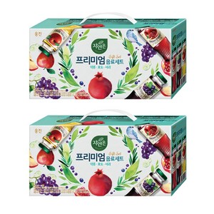 자연은 프리미엄 음료세트, 2개